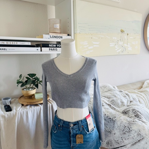 Chic Gray V-Neck Crop Sweater - Picture 1 of 2